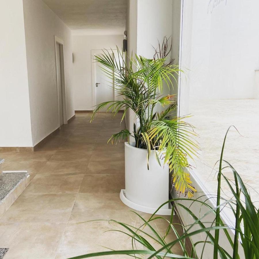 Hostal Pitiusa Ибиса Екстериор снимка